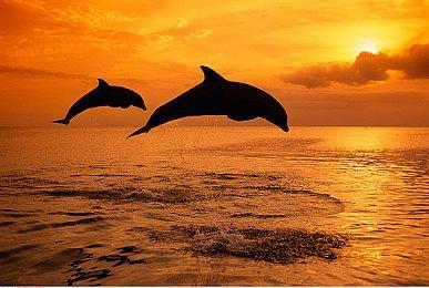 3DM速报：《地平线：西之绝境》改免费升级 《战地5》周销登顶